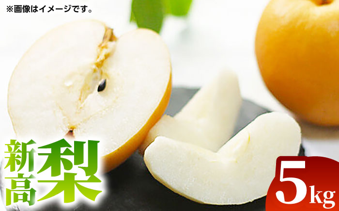 【先行予約】新高 梨 約5kg（6～12玉）【くまふる】 [ZBG070]