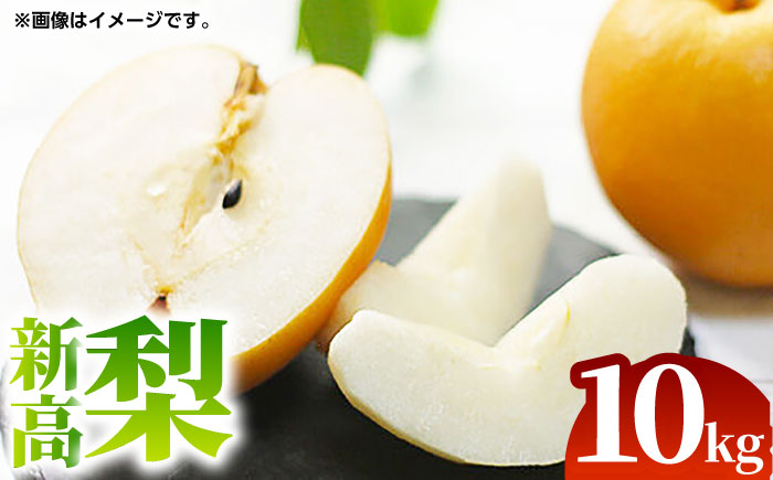 【先行予約】新高 梨 約10kg （12～24玉） 【くまふる】 [ZBG071]