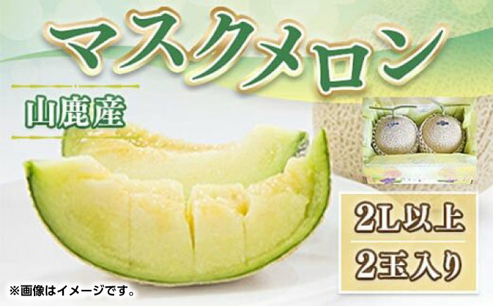 マスク メロン 2L以上 2玉入り【くまふる】 [ZBG072]