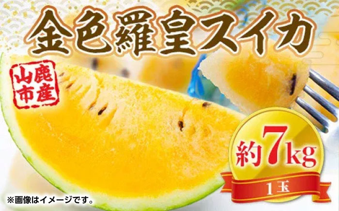 金色羅皇 スイカ 1玉 約7kg【くまふる】 [ZBG073]