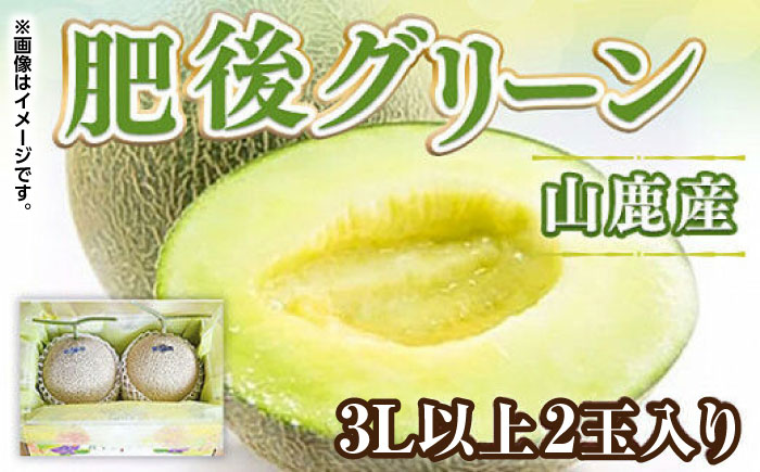 肥後 グリーン 3L 2玉入（計約2.4kg）【くまふる】 [ZBG074]