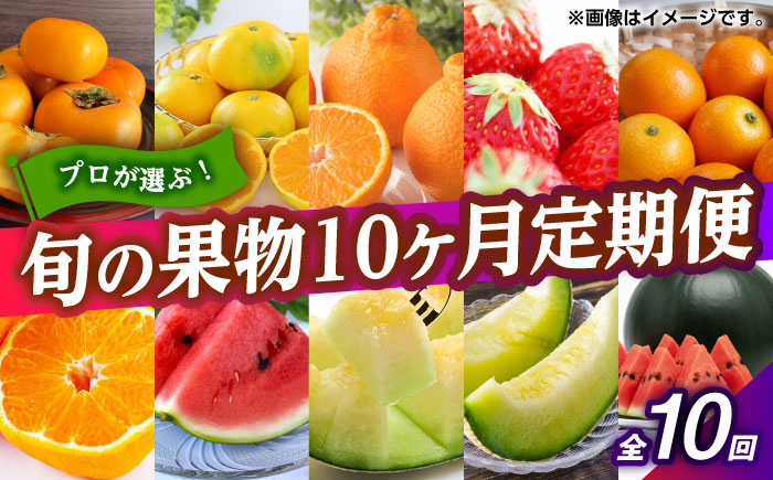 フルーツ10ヶ月定期便　【10月～7月】　【くまふる】 [ZBG078]