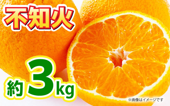 【先行予約】不知火 約3kg 【くまふる】 [ZBG080]
