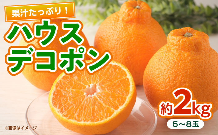 ハウスデコポン　約2kg 【くまふる】 [ZBG081]