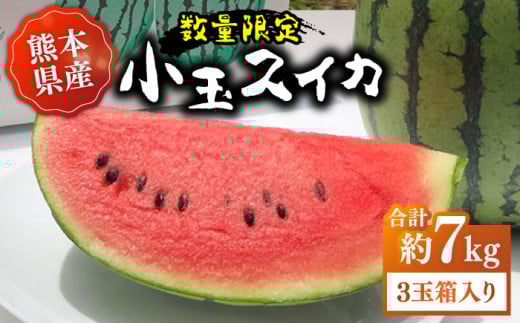 【先行予約】【初夏に実った贈り物】 小玉 スイカ 約7kg【なかむら農園】 [ZBH002]