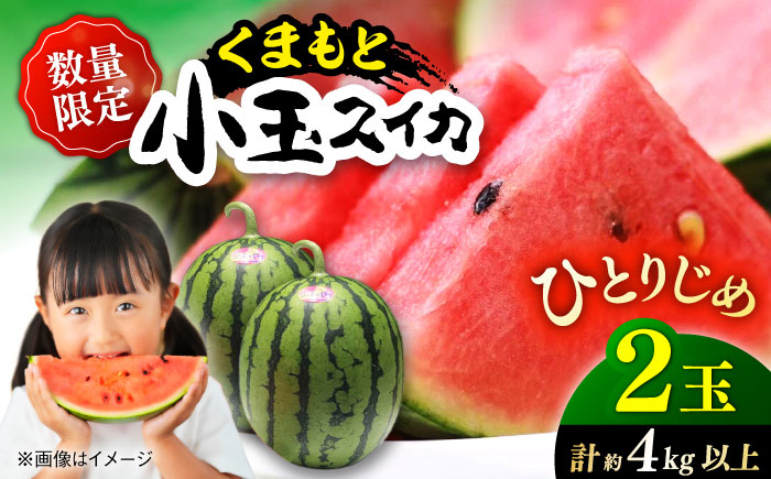 【先行予約】【初夏に実った贈り物】 小玉 スイカ 約4～4.5kg以上【なかむら農園】 [ZBH004]