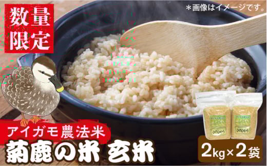 〈令和7年度新米〉 【新米先行予約】菊鹿の米 アイガモ農法米 玄米 2kg×2袋【有限会社 あそしな米穀】 新米 令和7年産 [ZBI001]