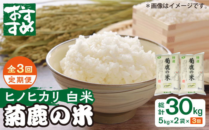 〈令和7年度新米〉 【3回定期便】菊鹿の米 ヒノヒカリ 白米 5kg×2袋【有限会社 あそしな米穀】 新米 令和7年産 [ZBI017]