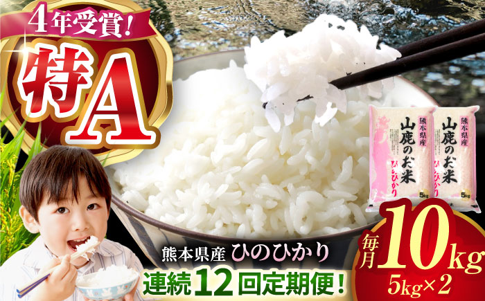 【12回定期便】山鹿のお米 ヒノヒカリ 5kg×2【有限会社 あそしな米穀】 [ZBI028]