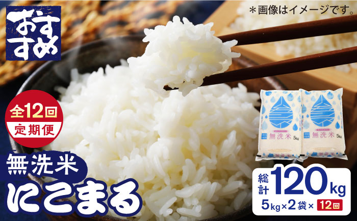 【12回定期便】にこまる 無洗米 5kg×2袋【有限会社 あそしな米穀】 [ZBI029]