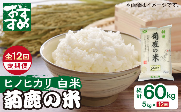 【12回定期便】菊鹿の米 ヒノヒカリ 5kg【有限会社 あそしな米穀】 [ZBI031]