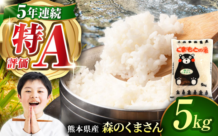 〈令和7年度産米〉熊本県産 森のくまさん 白米 5kg 米 お米 ご飯 こめ【有限会社 あそしな米穀】 [ZBI032]