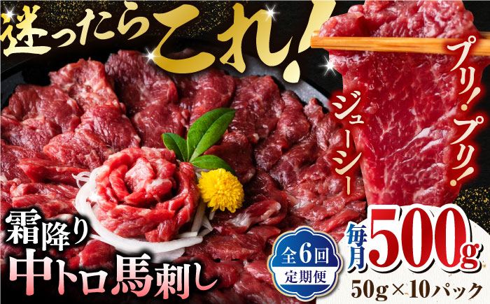 【全6回定期便】【熊本肥育】熊本ならでは！霜降り馬刺しをたっぷり楽しむセット 500g 【株式会社 利他フーズ】 [ZBK036]