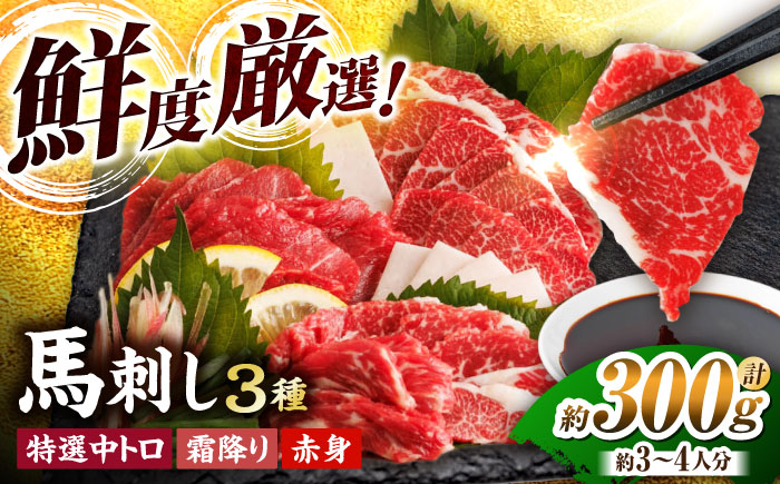馬刺し バラエティセット 3種類 ?3・4人前? ＋タレ小【馬刺しの郷 民守】 肉 馬肉 馬 熊本県 特産品 特産  [ZBL014]
