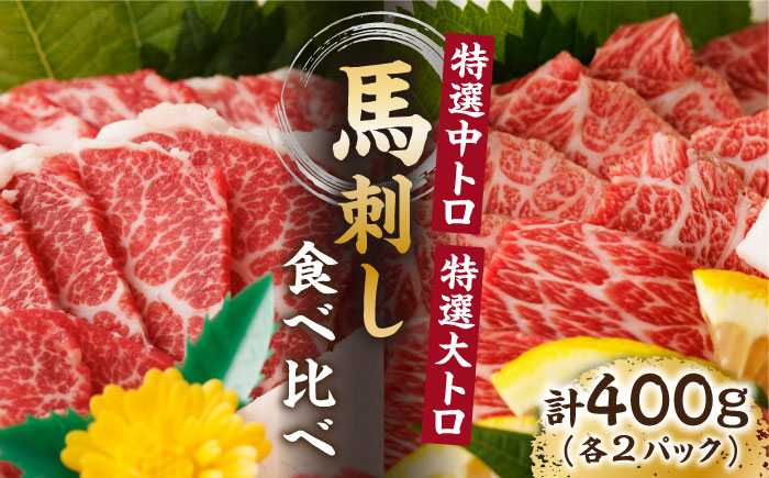 【年内発送は12月21日ご入金分まで！】 特選霜降り馬刺し 中トロ大トロ2種食べ比べセット 計400g（各2pc）＋タレ大【馬刺しの郷 民守】 食べ比べ 2種 セット 馬刺しセット 中トロ 大トロ  [ZBL017]