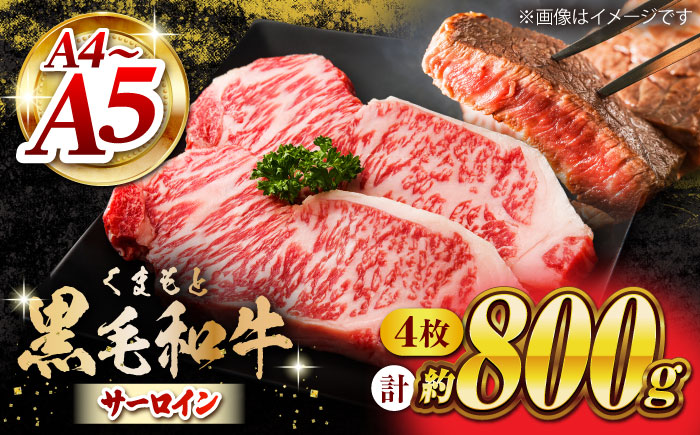 くまもと黒毛和牛 サーロインステーキ 計800g（4枚）【馬刺しの郷 民守】 ステーキ サーロイン ヒレ 霜降り 熊本 熊本県 黒毛和牛   [ZBL022]