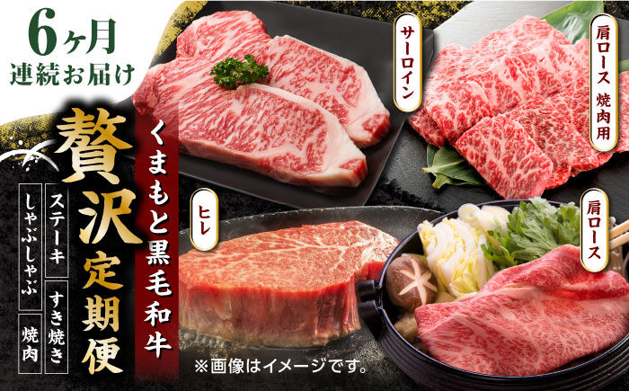 【6回定期便】くまもと黒毛和牛 贅沢定期便（ステーキ すき焼き しゃぶしゃぶ 焼肉）【馬刺しの郷 民守】 和牛 お肉 肉 ステーキ サーロイン  [ZBL036]