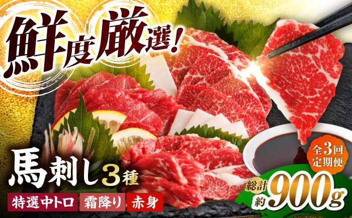 【3回定期便】馬刺し バラエティセット 3種類 ?3・4人前? ＋タレ小【馬刺しの郷 民守】  肉 馬肉 馬 熊本県 特産品 特産  [ZBL048]