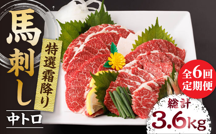 【6回定期便】特選霜降り馬刺し（中トロ）計600g（6pc）＋タレ大【馬刺しの郷 民守】 九州 冷凍 特選 中トロ トロ  [ZBL071]