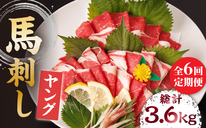 【6回定期便】ヤング馬刺し 計600g（6pc）＋タレ大【馬刺しの郷 民守】肉 馬肉 馬 熊本県 特産品 特産 馬刺し [ZBL075]
