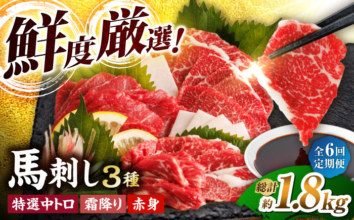 【6回定期便】馬刺し バラエティセット 3種類 ?3・4人前? ＋タレ小【馬刺しの郷 民守】  肉 馬肉 馬 熊本県 特産品 特産  [ZBL076]
