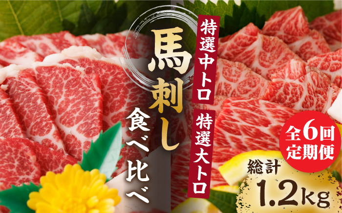 【6回定期便】特選霜降り馬刺し 中トロ大トロ2種食べ比べセット 計200g（各1pc）＋タレ小【馬刺しの郷 民守】  食べ比べ 2種 セット 馬刺しセット 馬刺し  [ZBL078]