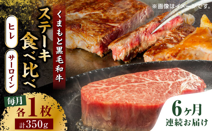 【6回定期便】くまもと黒毛和牛 ステーキ食べ比べ ヒレステーキ サーロインステーキ【馬刺しの郷 民守】  食べ比べ セット 霜降り ステーキセット  [ZBL085]