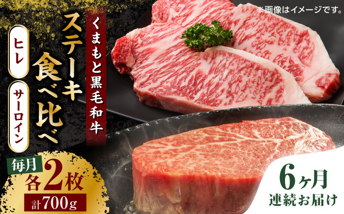【6回定期便】くまもと黒毛和牛 ステーキ食べ比べ ヒレステーキ×2枚 サーロインステーキ×2枚【馬刺しの郷 民守】  食べ比べ セット 霜降り ステーキセット  [ZBL086]