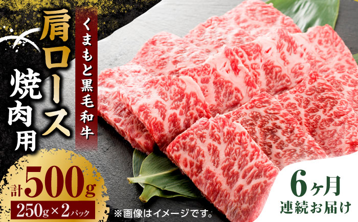 【6回定期便】くまもと黒毛和牛 焼肉用 肩ロース 500g（250g×2pc）【馬刺しの郷 民守】 熊本県産 九州産 和牛 お肉 肉 バラ 黒毛和牛  [ZBL092]