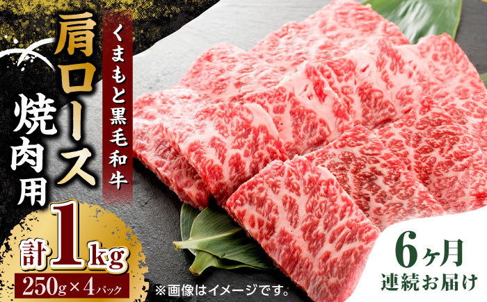 【6回定期便】くまもと黒毛和牛 焼肉用 肩ロース 1000g（250g×4pc）【馬刺しの郷 民守】 熊本県産 九州産 和牛 お肉 肉 バラ 黒毛和牛  [ZBL093]