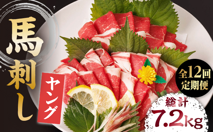 【12回定期便】ヤング馬刺し 計600g（6pc）＋タレ大【馬刺しの郷 民守】  肉 馬肉 馬 熊本県 特産品 特産 馬刺し  [ZBL103]