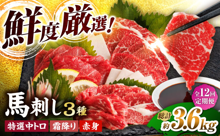 【12回定期便】馬刺し バラエティセット 3種類 ?3・4人前? ＋タレ小【馬刺しの郷 民守】  肉 馬肉 馬 熊本県 特産品 特産 馬刺し  [ZBL104]