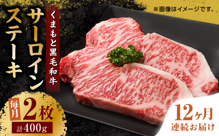 【12回定期便】くまもと黒毛和牛 サーロインステーキ 計400g（2枚）【馬刺しの郷 民守】 ステーキ サーロイン ヒレ 霜降り 熊本 熊本県   [ZBL108]