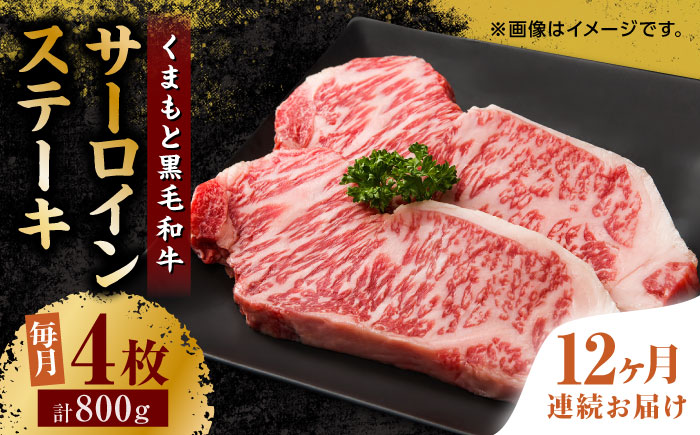 【12回定期便】くまもと黒毛和牛 サーロインステーキ 計800g（4枚）【馬刺しの郷 民守】 ステーキ サーロイン ヒレ 霜降り 熊本 熊本県   [ZBL109]