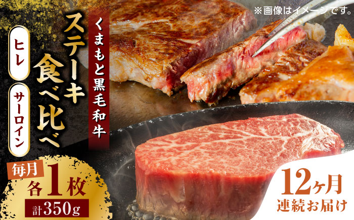 【12回定期便】くまもと黒毛和牛 ステーキ食べ比べ ヒレステーキ サーロインステーキ【馬刺しの郷 民守】 食べ比べ セット 霜降り ステーキセット  [ZBL113]