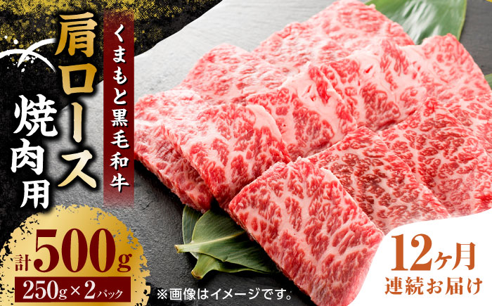 【12回定期便】くまもと黒毛和牛 焼肉用 肩ロース 500g（250g×2pc）【馬刺しの郷 民守】 熊本県産 九州産 和牛 お肉 肉 バラ 黒毛和牛  [ZBL120]
