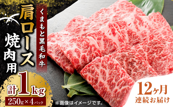 【12回定期便】くまもと黒毛和牛 焼肉用 肩ロース 1000g（250g×4pc）【馬刺しの郷 民守】熊本県産 九州産 和牛 お肉 肉 バラ 黒毛和牛  [ZBL121]