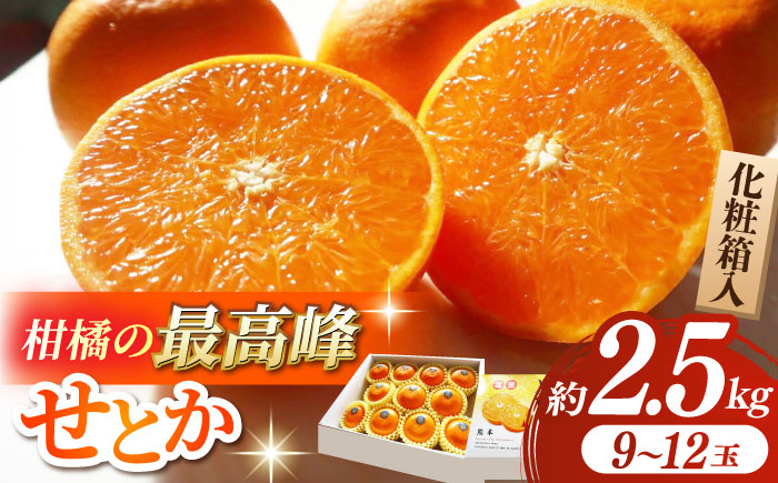 【2026年2月下旬から発送】せとか みかん 約2.5kg 果物 化粧箱入り フルーツ ギフト【小春農園】 [ZBN002]