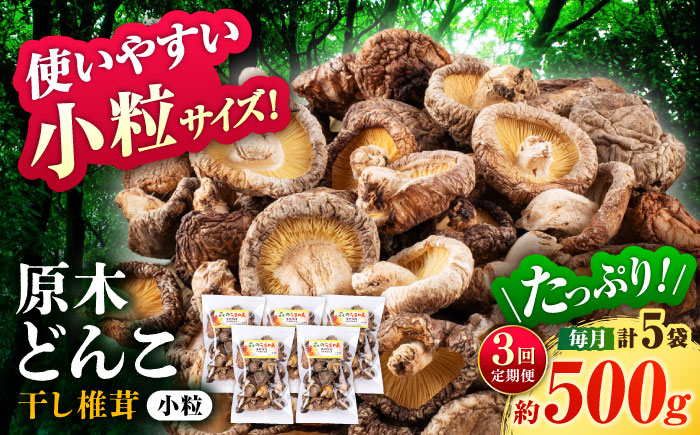 【全3回定期便】  原木 栽培 干し 椎茸 どんこ 小粒 約500g(100g×5袋) 【小春農園】 [ZBN006]
