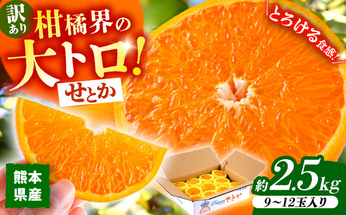 【2026年2月下旬から発送】【訳あり】せとか みかん 家庭用 約2.5kg 果物 フルーツ 【小春農園】 [ZBN007]