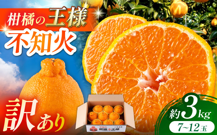 【2026年3月下旬から発送】【訳あり】 柑橘の王様 ハウス栽培 不知火 デコポン 約3kg（7～12玉） 【小春農園】 [ZBN008]