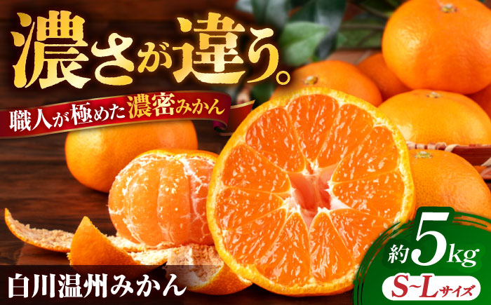 【先行予約】 旨み凝縮！ 飛龍台木 白川 温州 みかん S～Lサイズ 約5kg 山鹿市産　【小春農園】 [ZBN009]