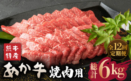 【全12回定期便】肥後の赤牛 焼肉 用約500g【山鹿市（桜屋）】 焼き肉用 焼肉 焼き肉 熊本県産  [ZBO019]