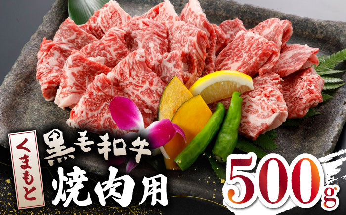 くまもと 黒毛和牛 焼肉用 500ｇ【山鹿市（桜屋）】 黒毛和牛 焼き肉用 焼肉 焼き肉 熊本県産 くまもと  [ZBO039]