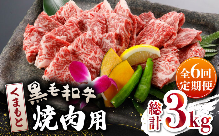 【全6回定期便】くまもと 黒毛和牛 焼肉用 500ｇ【山鹿市（桜屋）】 黒毛和牛 焼き肉用 焼肉 焼き肉 熊本県産 くまもと  [ZBO041]