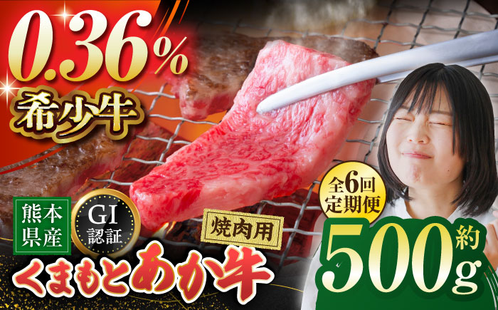 【6回定期便】GI認証 くまもとあか牛 焼肉用 約500ｇ【山鹿市（桜屋）】 [ZBO063]