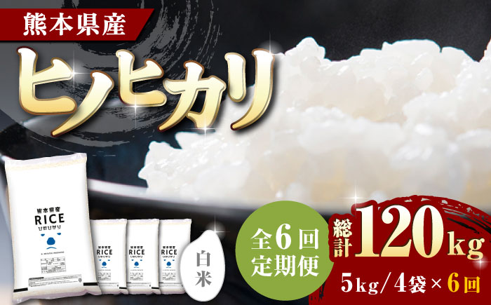 〈令和7年度新米〉 【全6回定期便】 ヒノヒカリ 白米 20kg【株式会社  農産ベストパートナー】 新米 令和7年産 [ZBP115]