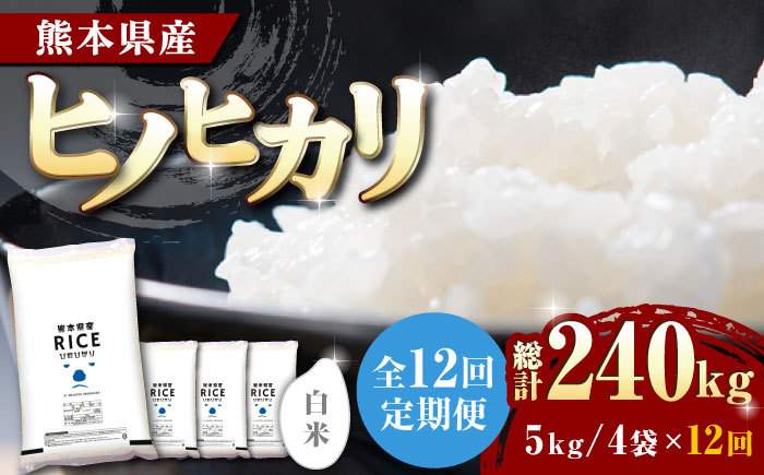 〈令和7年度新米〉 【全12回定期便】 ヒノヒカリ 白米 20kg【株式会社  農産ベストパートナー】 新米 令和7年産 [ZBP116]