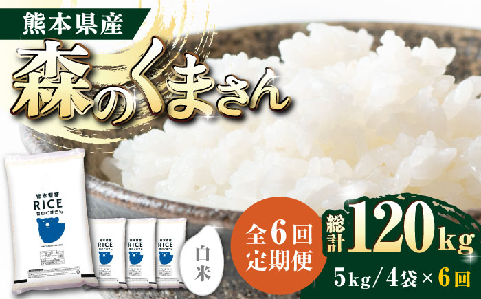 〈令和7年度新米〉 【全6回定期便】 森のくまさん 白米 20kg(5kg×4袋)【株式会社  農産ベストパートナー】 新米 令和7年産 [ZBP123]