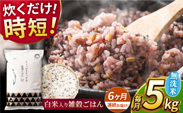 〈令和7年度新米〉 【全6回定期便】水研ぎ不要 雑穀ごはん 無洗米 5kg 【株式会社 農産ベストパートナー】 新米 令和7年産 [ZBP147]